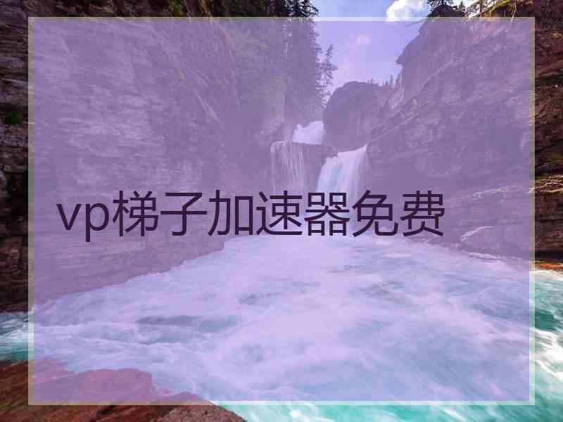 vp梯子加速器免费