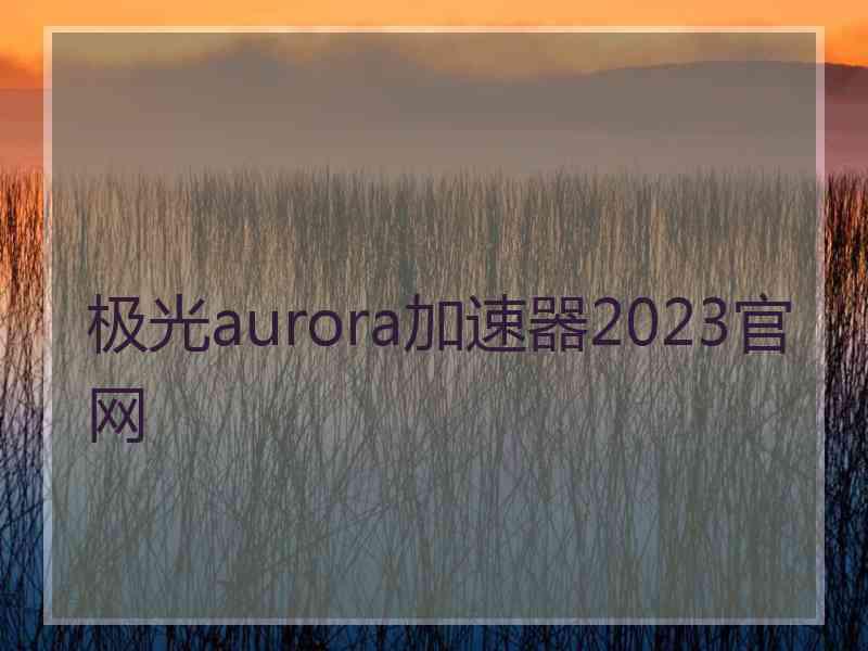 极光aurora加速器2023官网