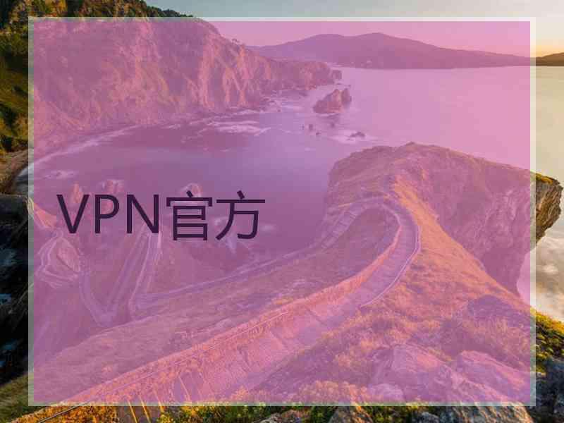 VPN官方