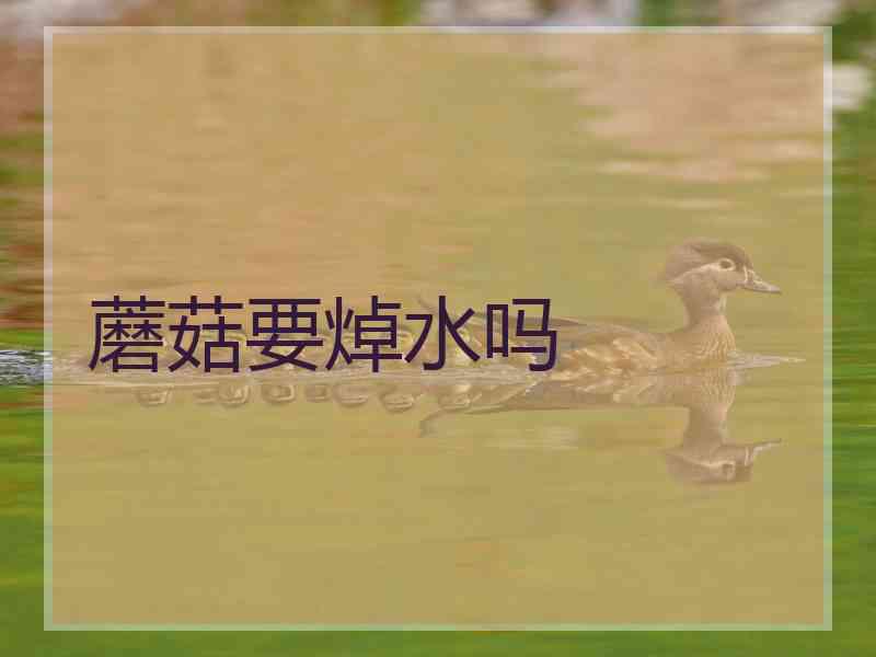 蘑菇要焯水吗