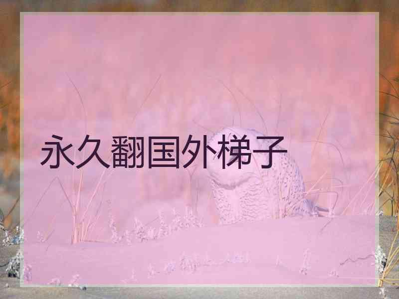 永久翻国外梯子