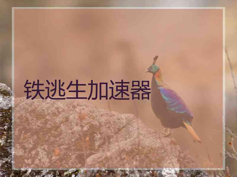 铁逃生加速器