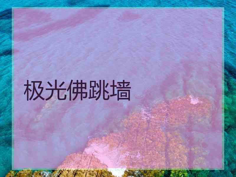 极光佛跳墙
