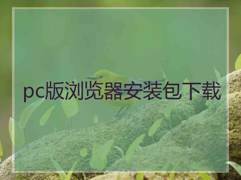 pc版浏览器安装包下载