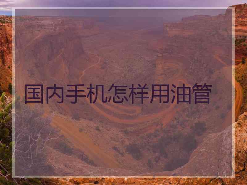 国内手机怎样用油管