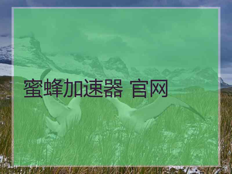 蜜蜂加速器 官网