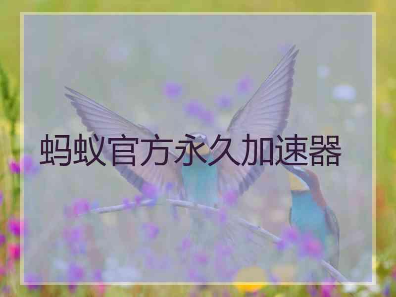 蚂蚁官方永久加速器