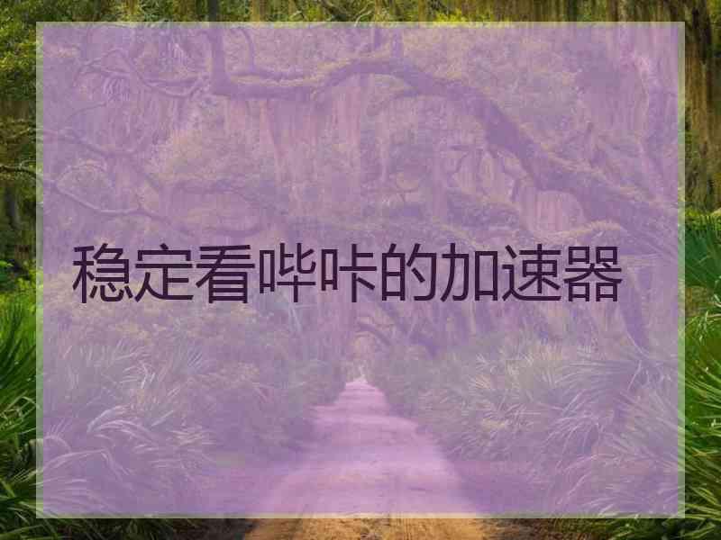 稳定看哔咔的加速器