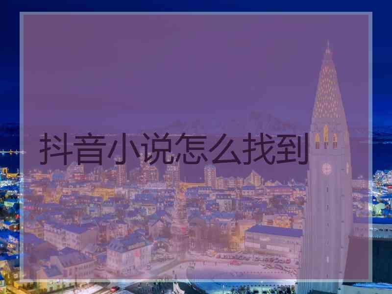 抖音小说怎么找到