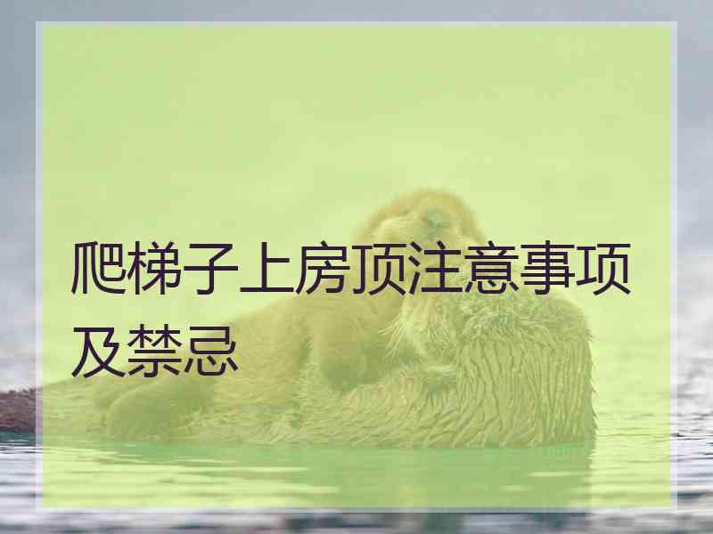 爬梯子上房顶注意事项及禁忌