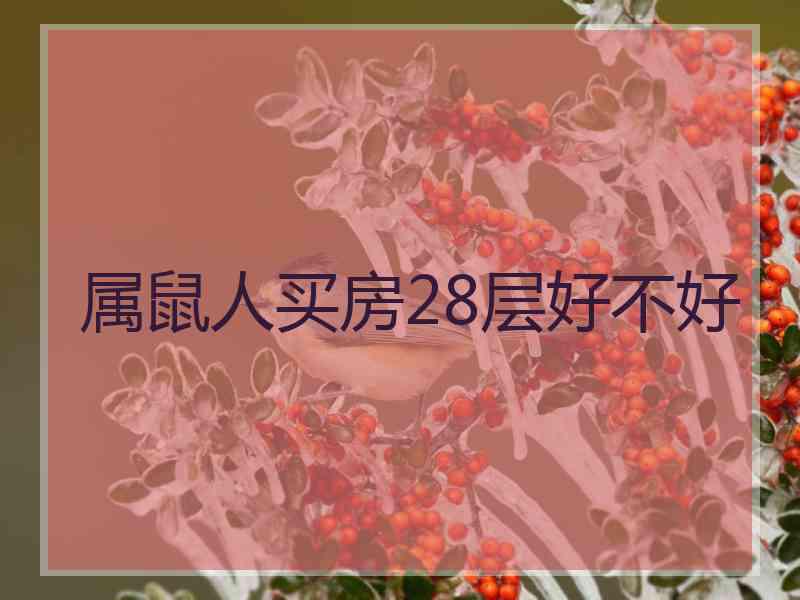 属鼠人买房28层好不好