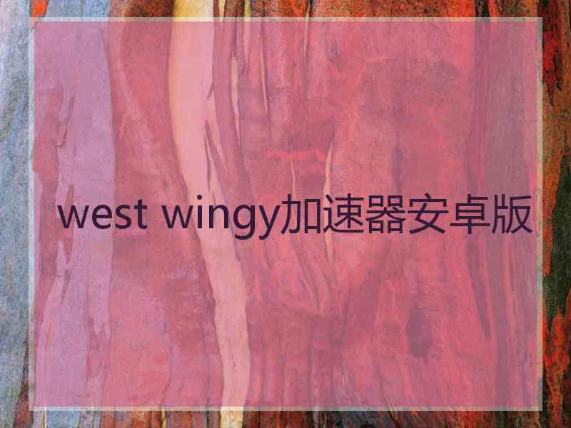 west wingy加速器安卓版