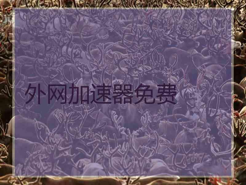 外网加速器免费
