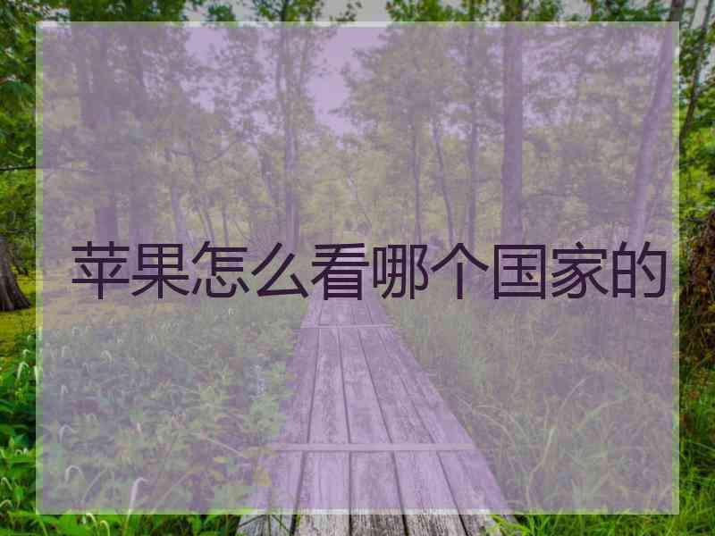 苹果怎么看哪个国家的