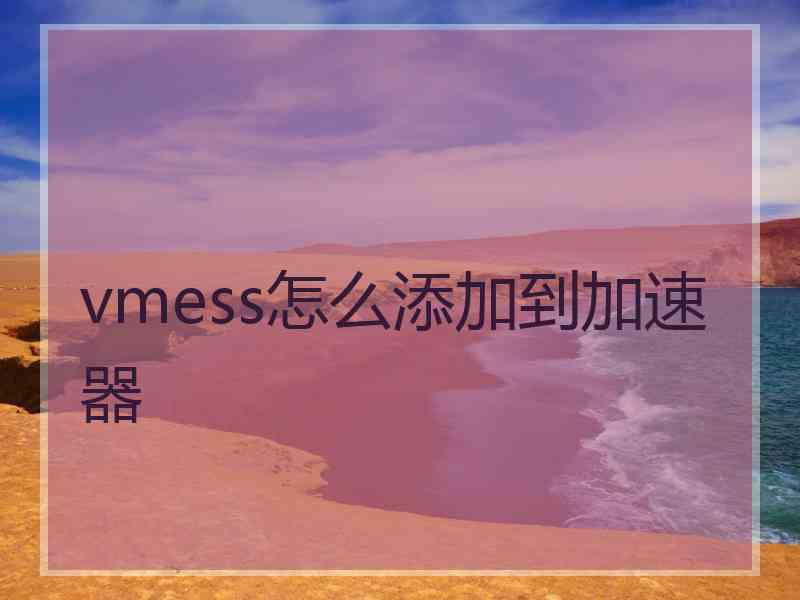 vmess怎么添加到加速器