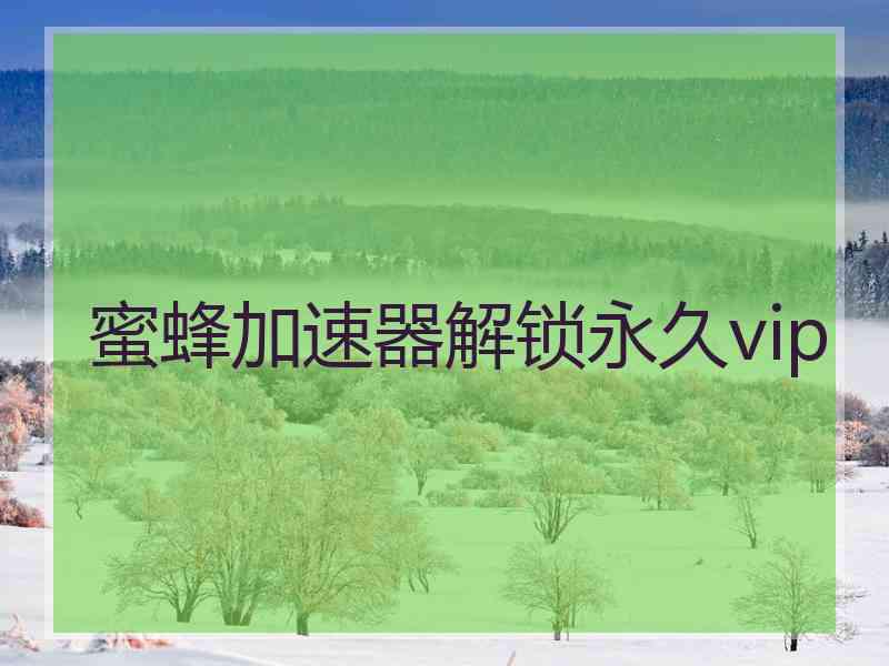 蜜蜂加速器解锁永久vip