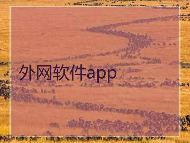 外网软件app