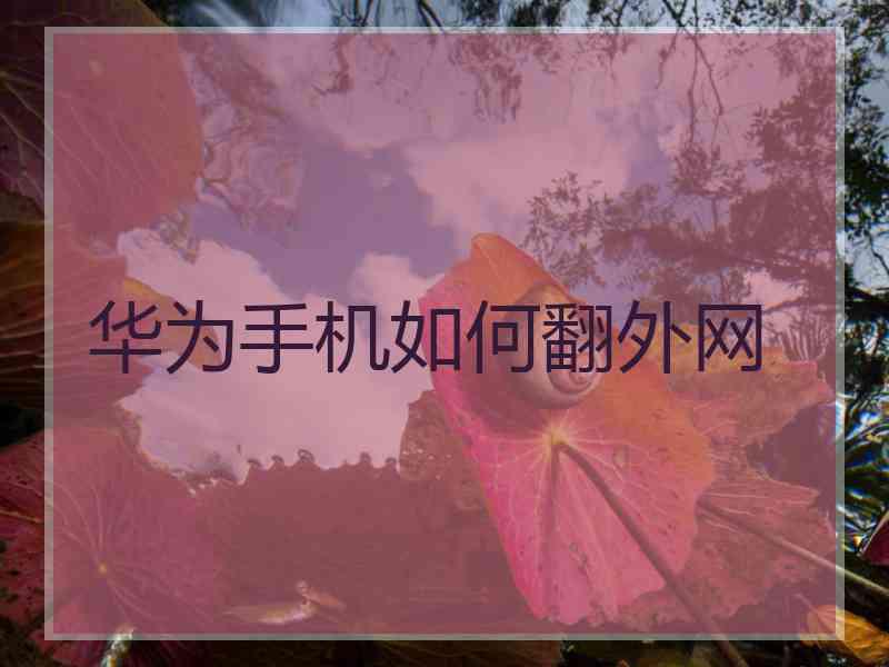 华为手机如何翻外网