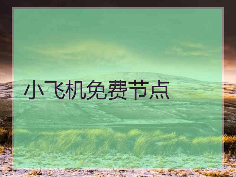 小飞机免费节点