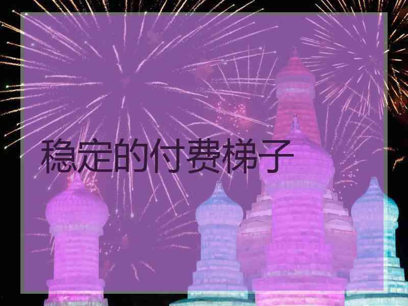 稳定的付费梯子