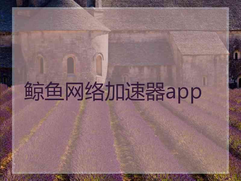 鲸鱼网络加速器app