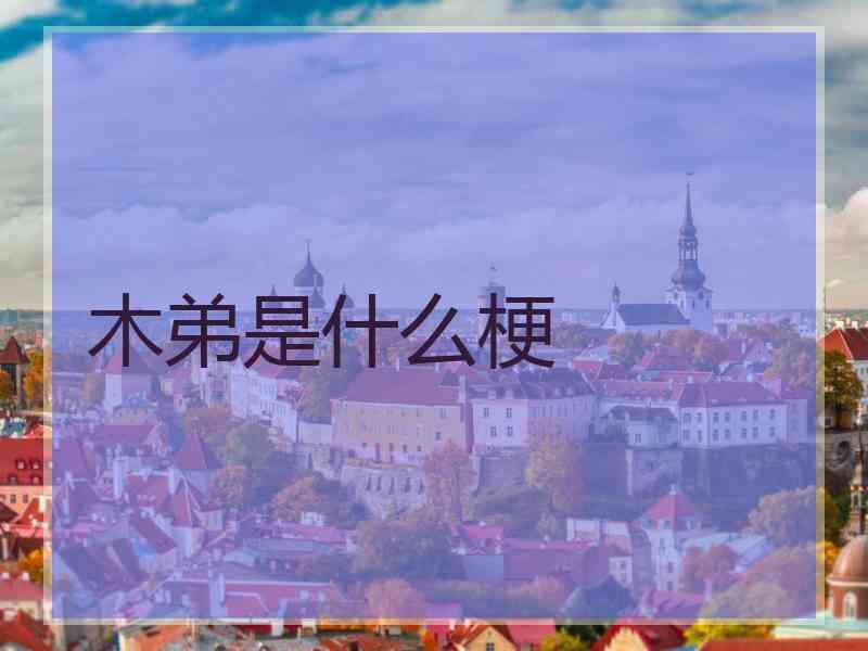 木弟是什么梗