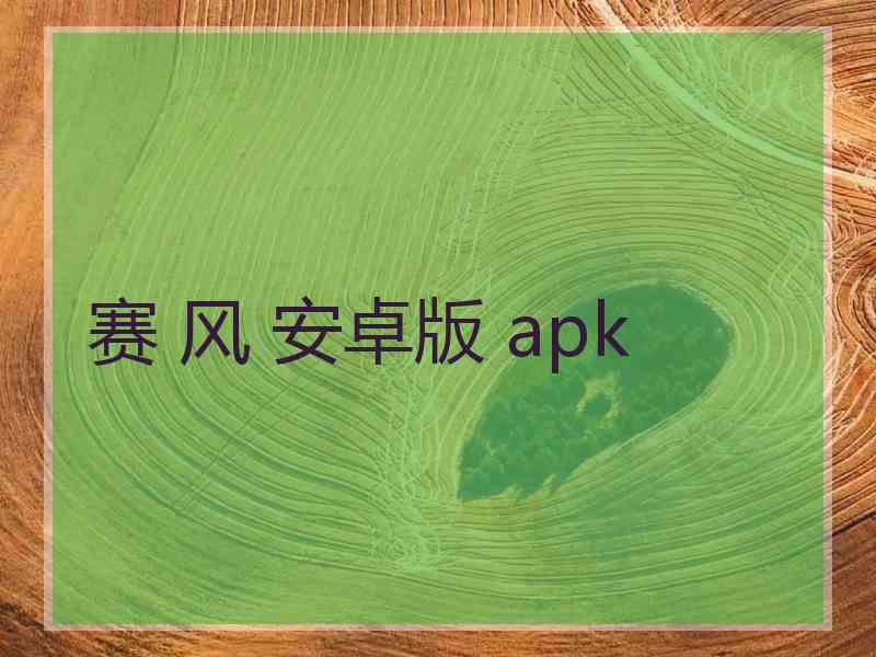 赛 风 安卓版 apk