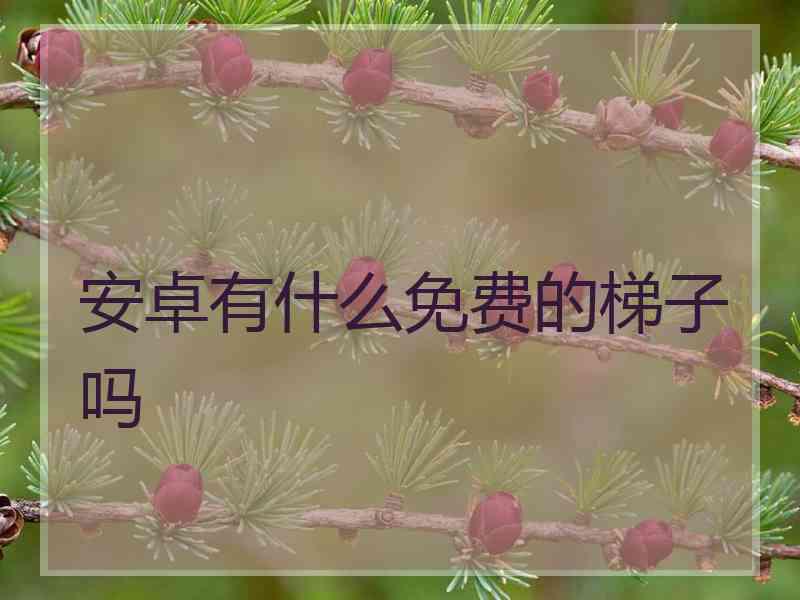 安卓有什么免费的梯子吗