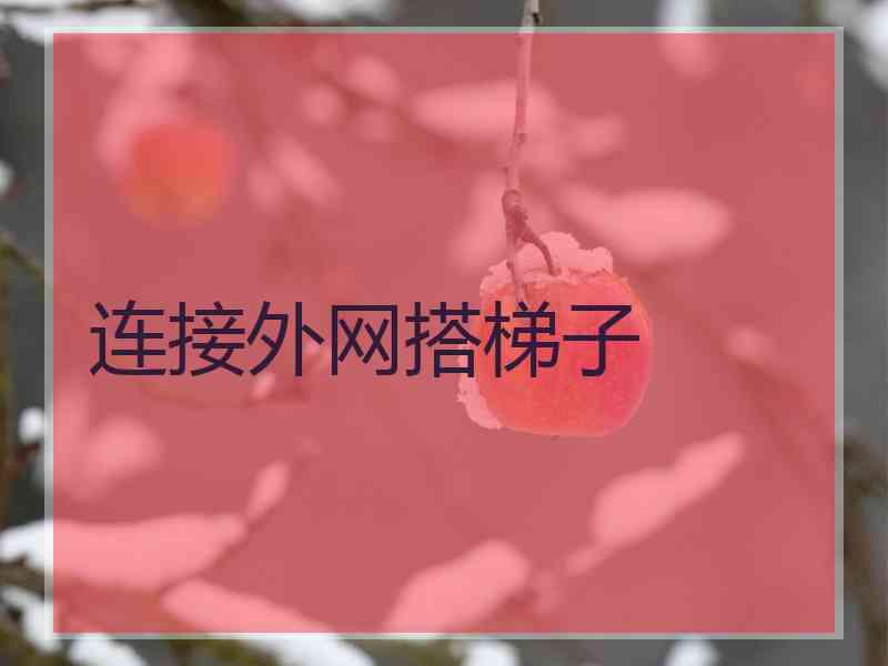 连接外网搭梯子