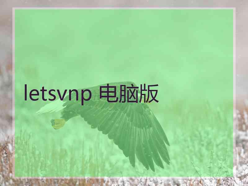 letsvnp 电脑版