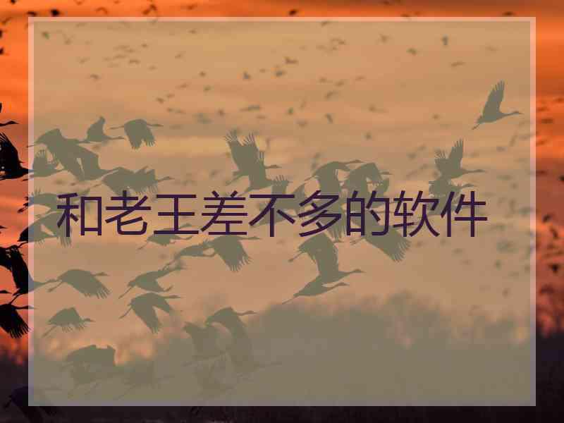 和老王差不多的软件