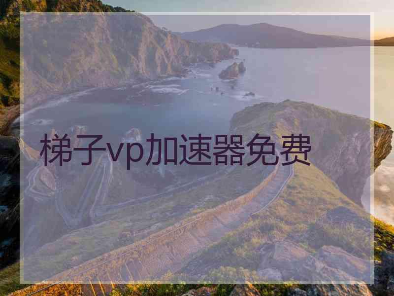 梯子vp加速器免费