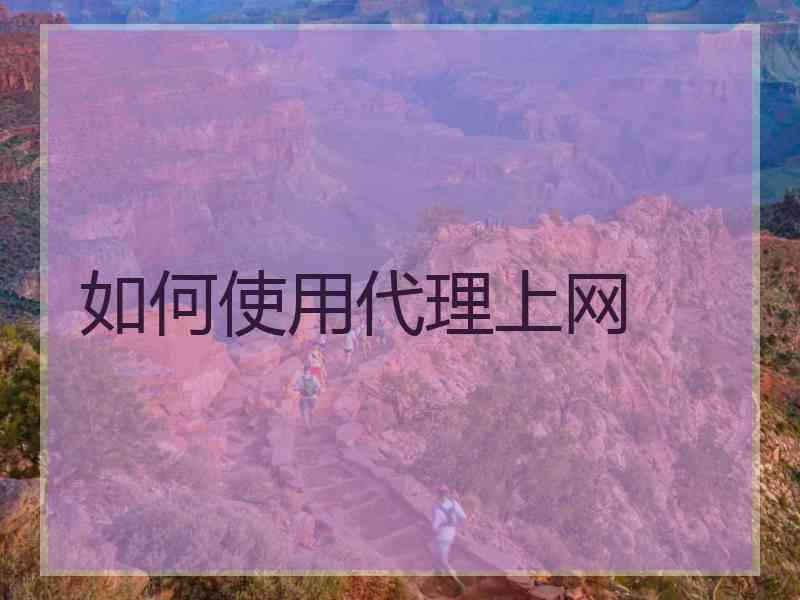 如何使用代理上网