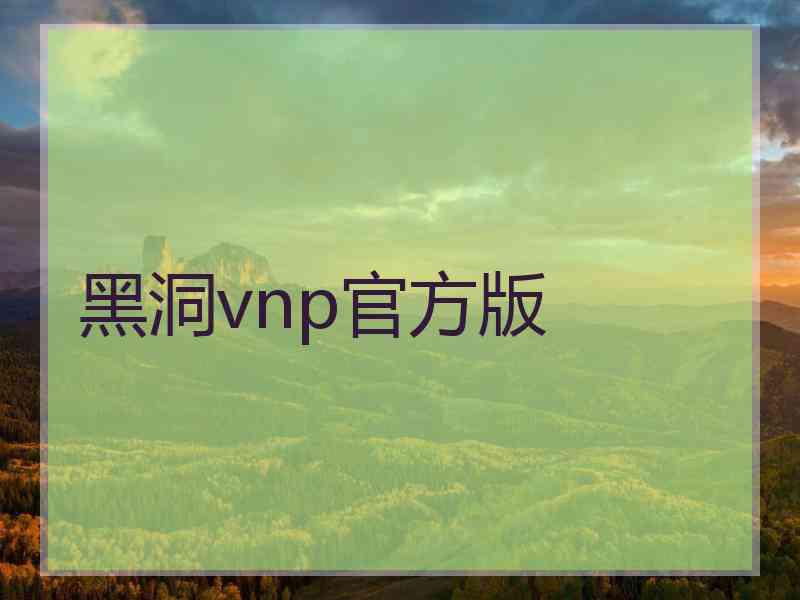 黑洞vnp官方版