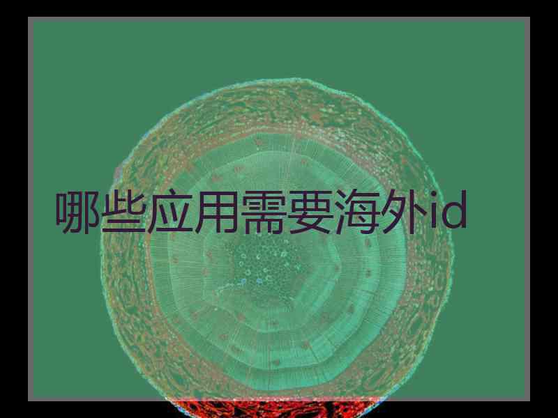 哪些应用需要海外id