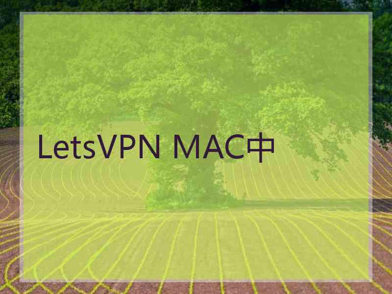 LetsVPN MAC中