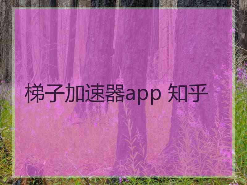 梯子加速器app 知乎