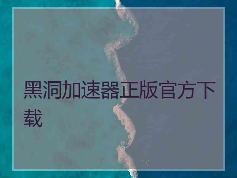 黑洞加速器正版官方下载