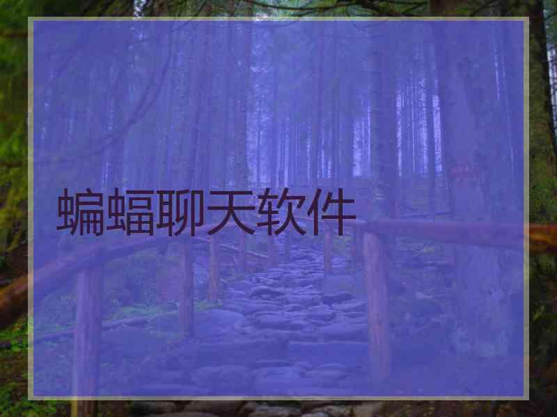 蝙蝠聊天软件