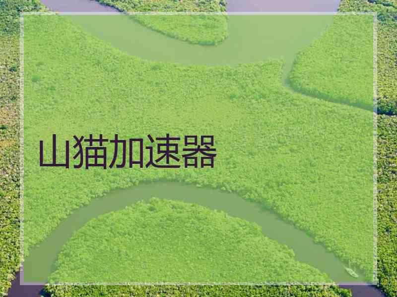 山猫加速器