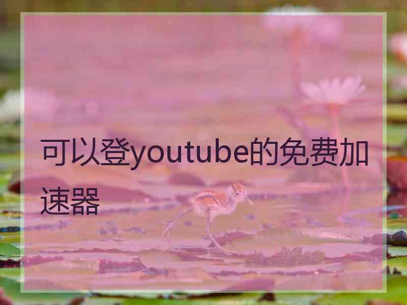 可以登youtube的免费加速器