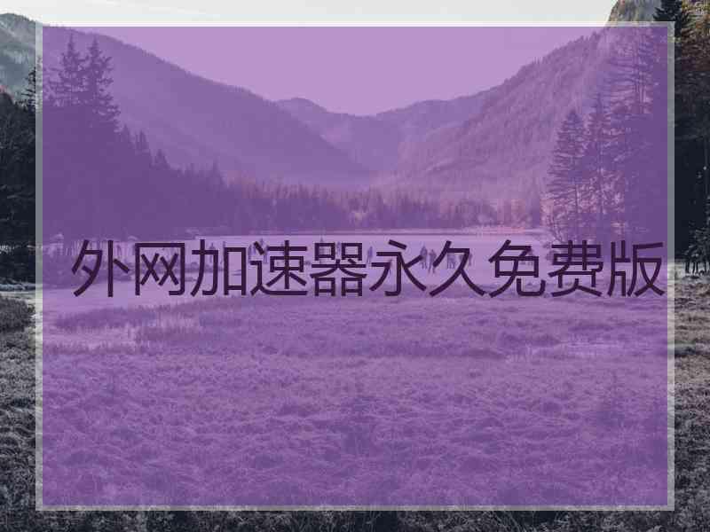 外网加速器永久免费版