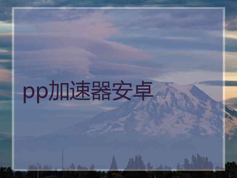 pp加速器安卓