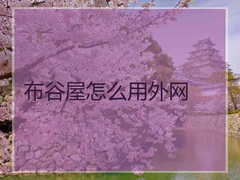 布谷屋怎么用外网