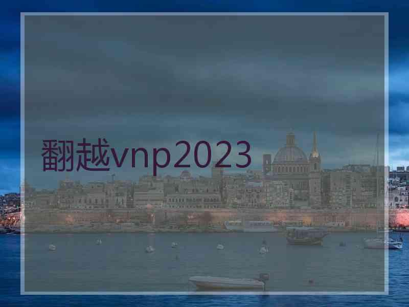 翻越vnp2023