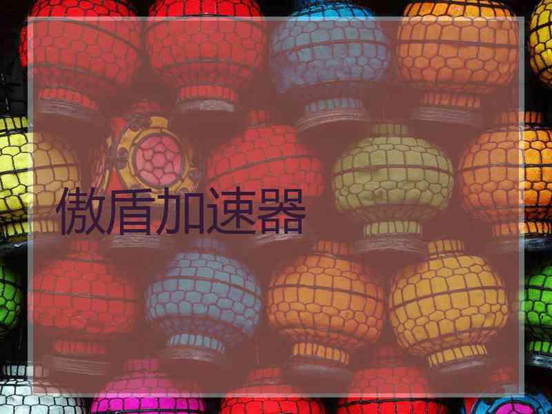 傲盾加速器