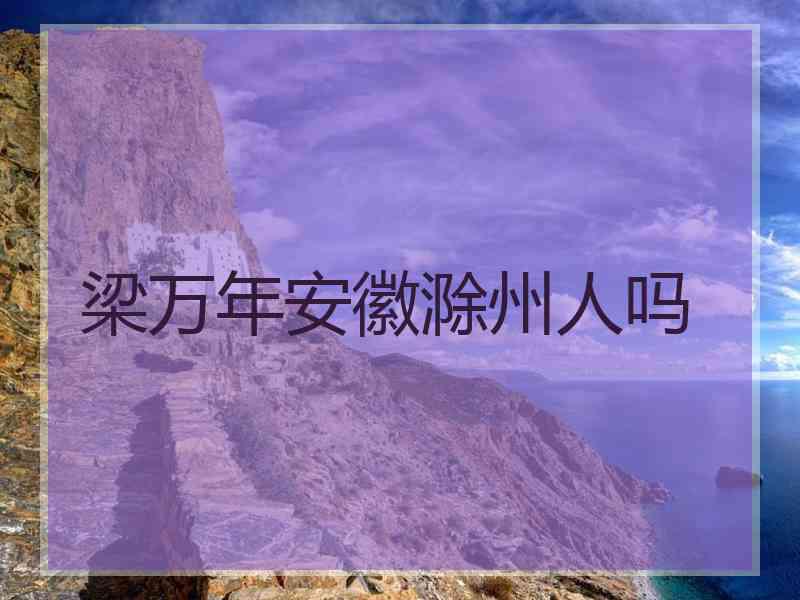梁万年安徽滁州人吗