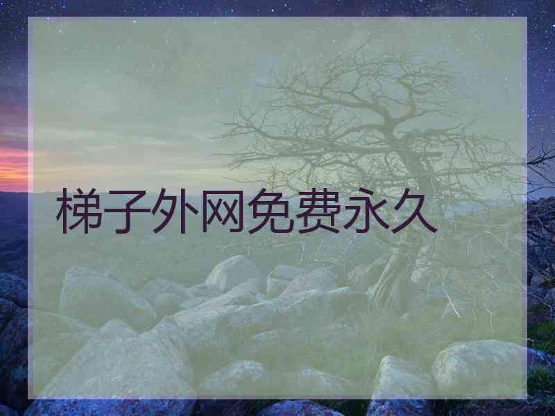 梯子外网免费永久