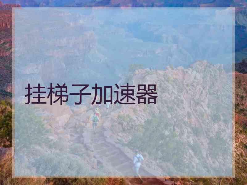 挂梯子加速器