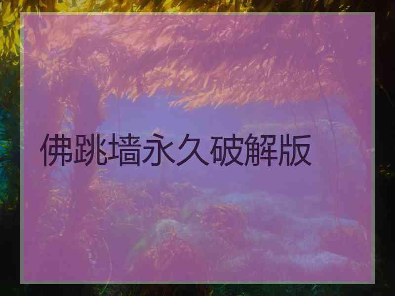 佛跳墙永久破解版